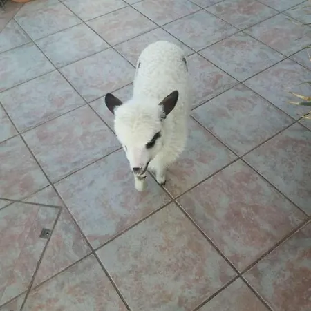 Paradise View 히마레