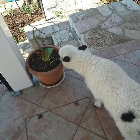 Paradise View 3* 히마레