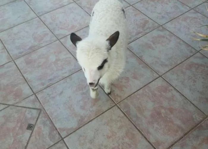 Paradise View Himare